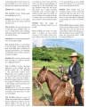 ponies-24_7-magazine-v5i4_Page_10.jpg